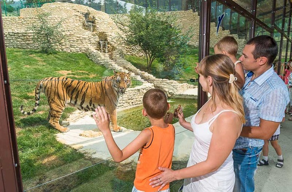 safari-park-gelendzhik