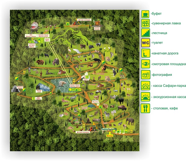 safari-park-gelendzhik