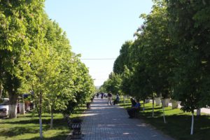 ulitsa-kati-solovyanovoj-anapa