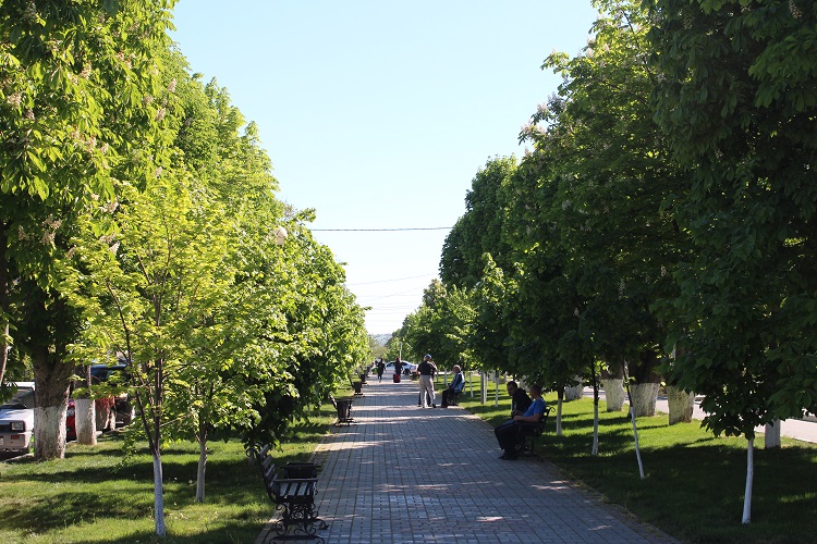 ulitsa-kati-solovyanovoj-anapa